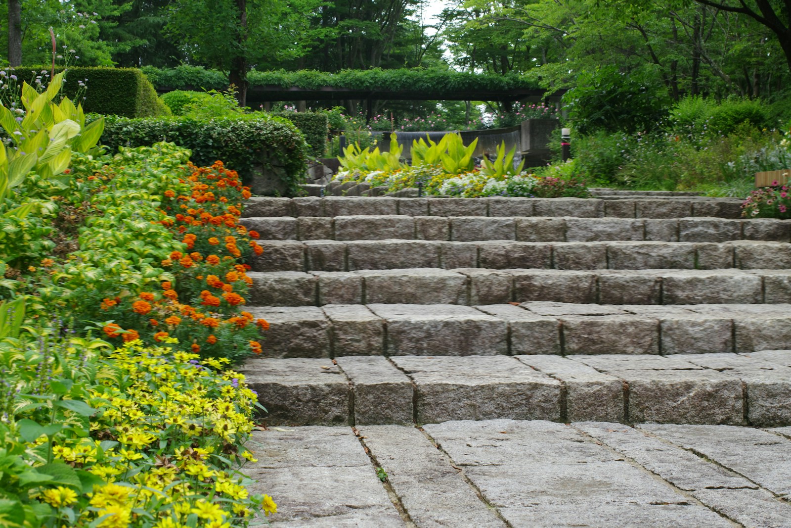 A bunch of steps that are next to some flowers